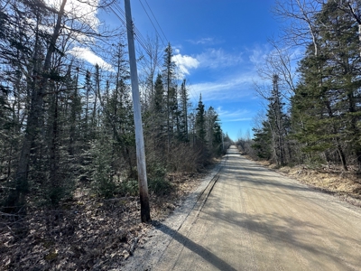 Nearly 50 acres on a Trout Stream - image 11