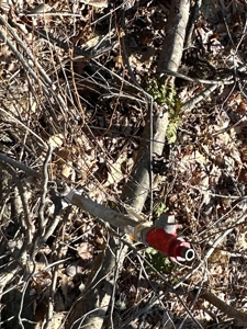 Nearly 50 acres on a Trout Stream - image 12