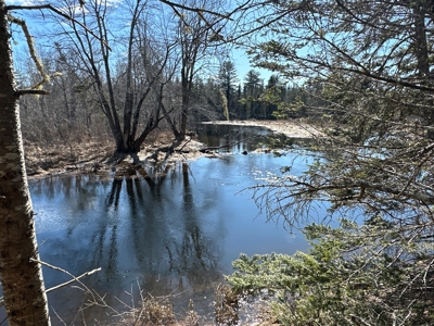 Nearly 50 acres on a Trout Stream - image 10