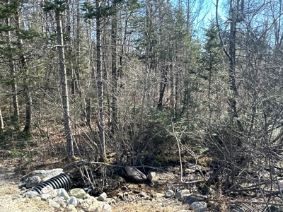 Nearly 50 acres on a Trout Stream - image 14