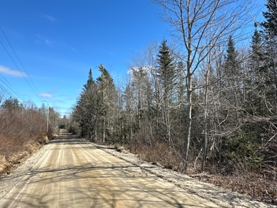 Nearly 50 acres on a Trout Stream - image 15