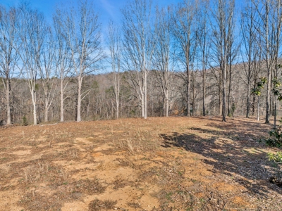 Land for Sale in Decatur, TN - image 11