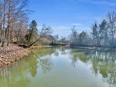 Land for Sale in Decatur, TN - image 16