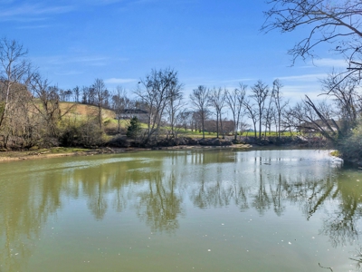Land for Sale in Decatur, TN - image 17