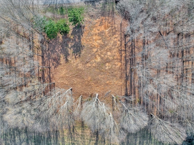 Land for Sale in Decatur, TN - image 14