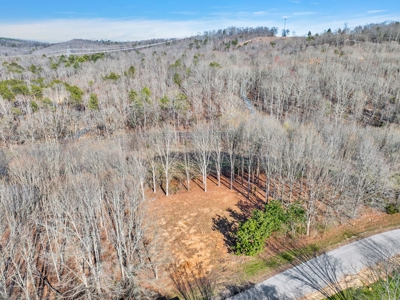 Land for Sale in Decatur, TN - image 13