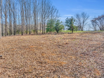 Land for Sale in Decatur, TN - image 12