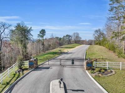Land for Sale in Decatur, TN - image 10
