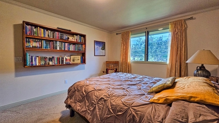Luxury Mountain Home in Ocean View, Hawaii for Sale! - image 47
