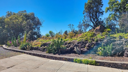 Luxury Mountain Home in Ocean View, Hawaii for Sale! - image 32