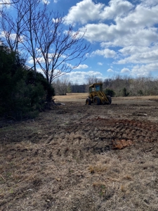 Diverse 55.06 Acre Farm and Timberland For Sale Live Auction - image 3