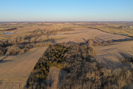 For Sale 239 Acre m/l Hunting/Row Crop Farm - image 17