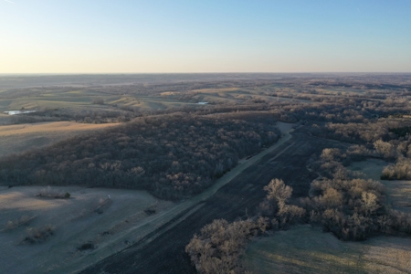 For Sale 239 Acre m/l Hunting/Row Crop Farm - image 8