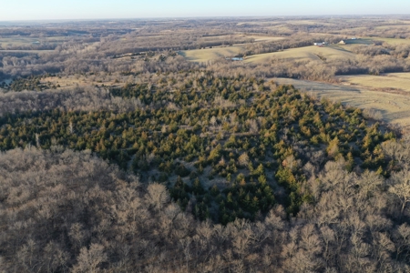 For Sale 239 Acre m/l Hunting/Row Crop Farm - image 29