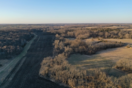 For Sale 239 Acre m/l Hunting/Row Crop Farm - image 18