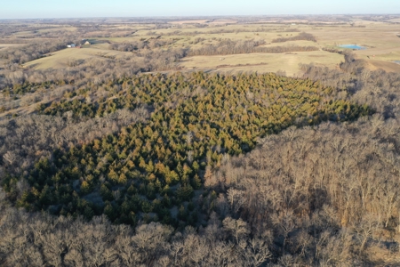 For Sale 239 Acre m/l Hunting/Row Crop Farm - image 32