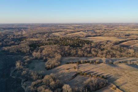 For Sale 239 Acre m/l Hunting/Row Crop Farm - image 10