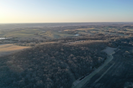 For Sale 239 Acre m/l Hunting/Row Crop Farm - image 14