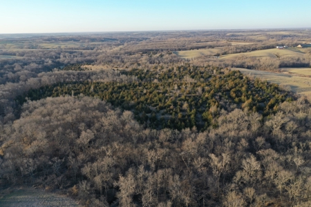 For Sale 239 Acre m/l Hunting/Row Crop Farm - image 27