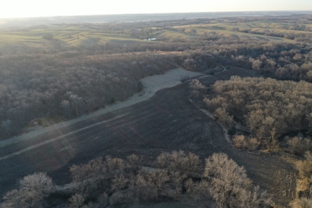 For Sale 239 Acre m/l Hunting/Row Crop Farm - image 30
