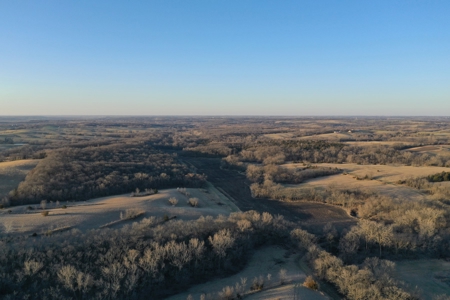 For Sale 239 Acre m/l Hunting/Row Crop Farm - image 24