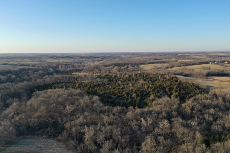 For Sale 239 Acre m/l Hunting/Row Crop Farm - image 26