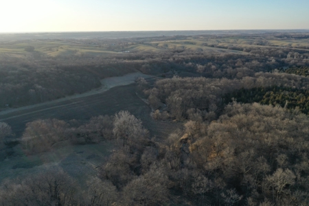 For Sale 239 Acre m/l Hunting/Row Crop Farm - image 28