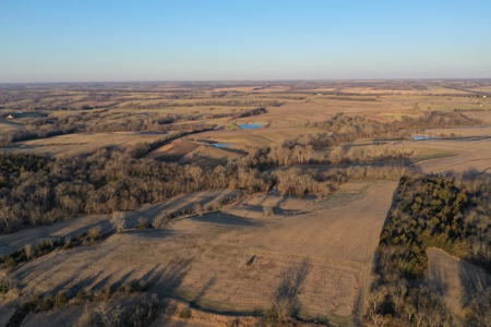 For Sale 239 Acre m/l Hunting/Row Crop Farm - image 11
