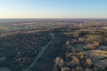 For Sale 239 Acre m/l Hunting/Row Crop Farm - image 9