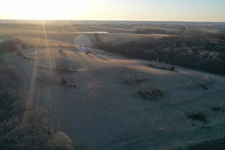 For Sale 239 Acre m/l Hunting/Row Crop Farm - image 19