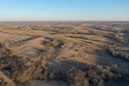 For Sale 239 Acre m/l Hunting/Row Crop Farm - image 16