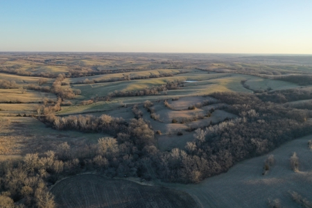 For Sale 239 Acre m/l Hunting/Row Crop Farm - image 15