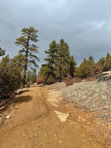 Northern NM Recreational Land For Sale Near Chama NM - image 1