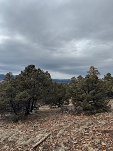 Northern NM Recreational Land For Sale Near Chama NM - image 6