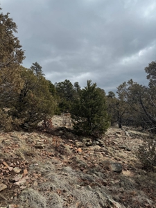 Northern NM Recreational Land For Sale Near Chama NM - image 7
