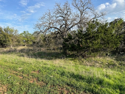 Lot 103 The Hideout Golf Course Lake Brownwood, TX - image 4