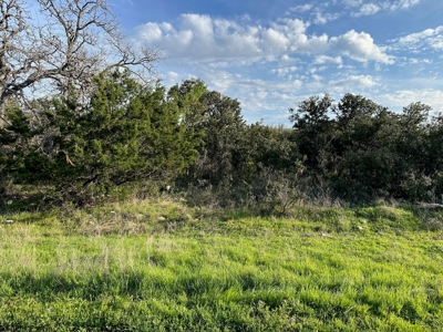 Lot 103 The Hideout Golf Course Lake Brownwood, TX - image 3