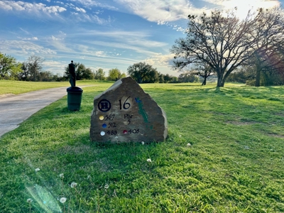 Lot 103 The Hideout Golf Course Lake Brownwood, TX - image 1