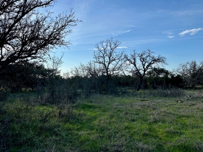 Lot 103 The Hideout Golf Course Lake Brownwood, TX - image 6