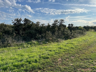 Lot 103 The Hideout Golf Course Lake Brownwood, TX - image 2