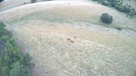 180 acre Schuyler County Farm For Sale - image 34