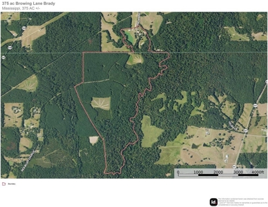 375 Acres Timberland + Camp Amite, MS Greensburg, LA - image 34