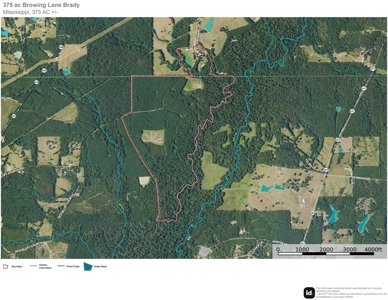 375 Acres Timberland + Camp Amite, MS Greensburg, LA - image 35