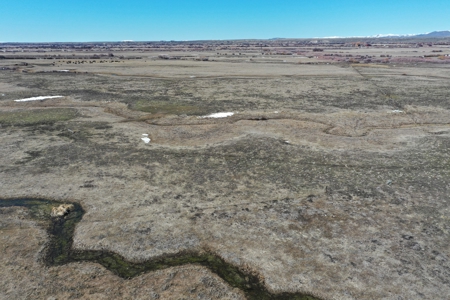 Nevada Ranchette Horse Property For Sale Lamoille/Spring Crk - image 23