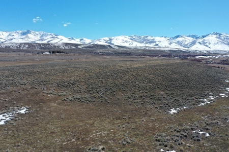 Nevada Ranchette Horse Property For Sale Lamoille/Spring Crk - image 2