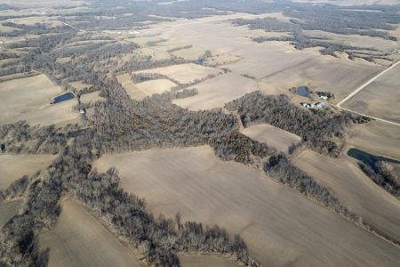 Van Buren County Iowa Hunting Land - image 2