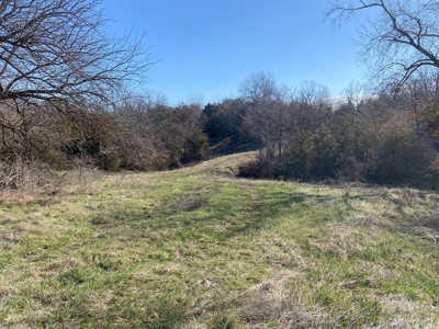 Van Buren County Iowa Hunting Land - image 21