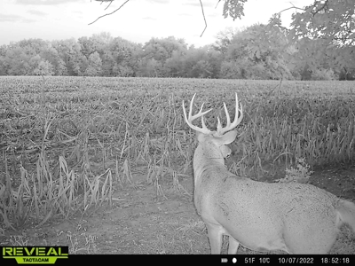 Van Buren County Iowa Hunting Land - image 46