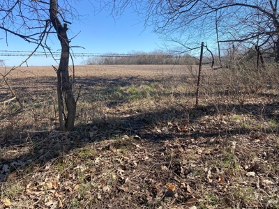 Van Buren County Iowa Hunting Land - image 18