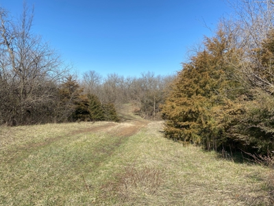 Van Buren County Iowa Hunting Land - image 31